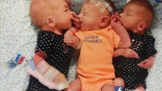 bebes_trillizos.jpg