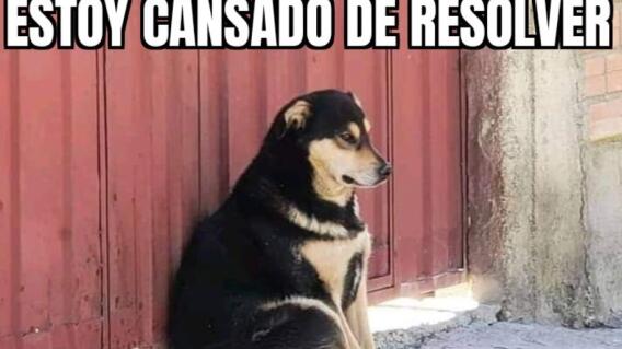 ¿Qué es "resolver" y por qué es viral? ¿Qué es "resolver" y por qué es viral?