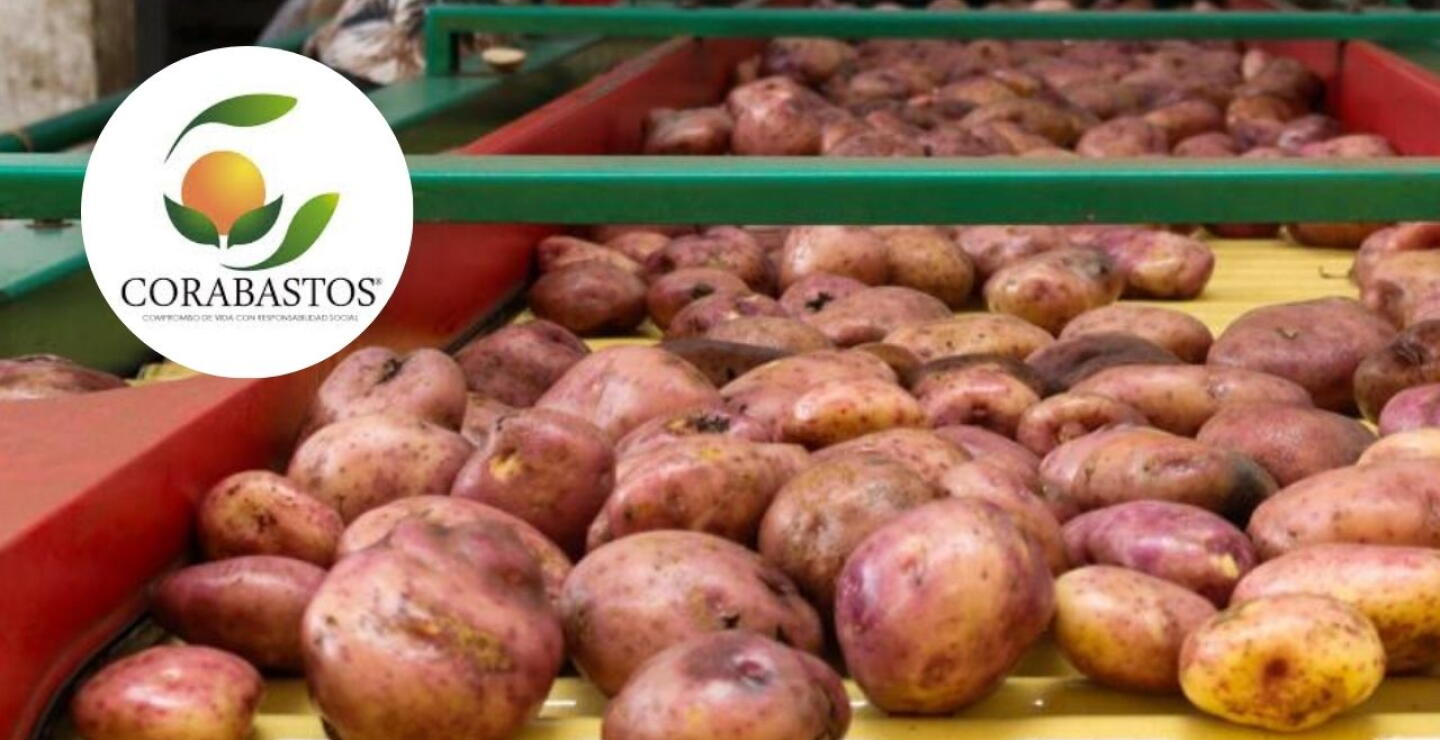 Bajó el precio de la papa para este 25 de abril: esto cuesta hoy, según Corabastos