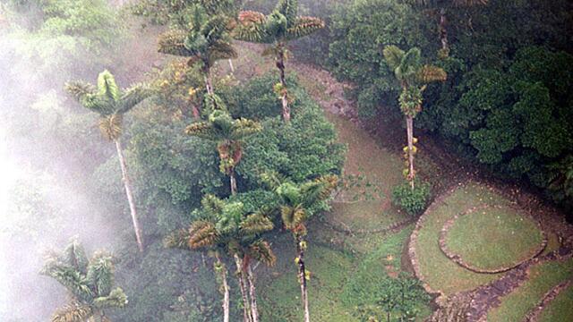 Ciudad Perdida, una joya arqueológica viviente que recibe más de 20 mil visitantes al año
