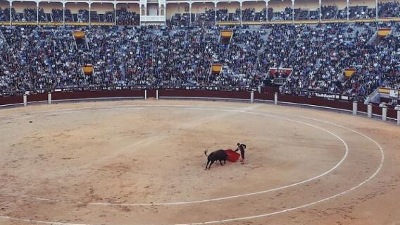 plaza de toros