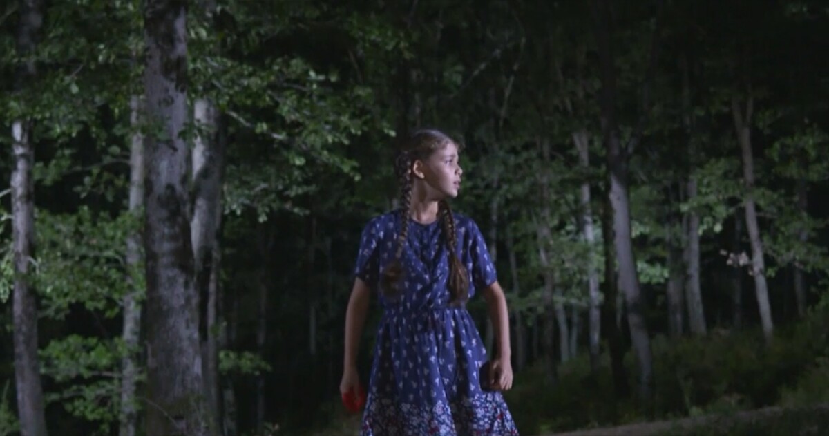 293767_elif970.jpg