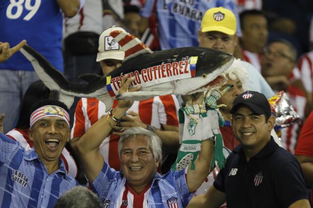 326186_Junior