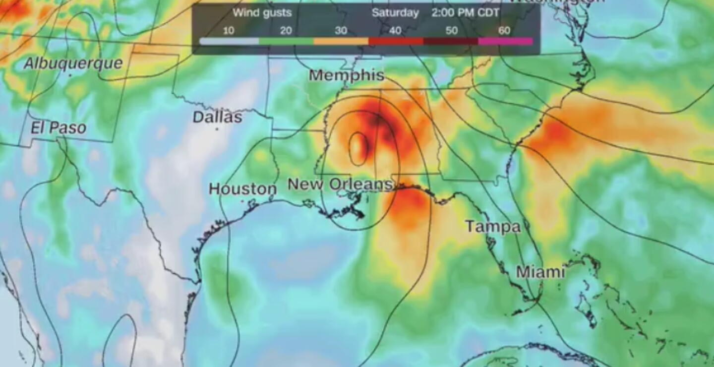 Isaias amenaza la costa del Golfo: Florida declara emergencia en 25 condados por llegada de la tormenta