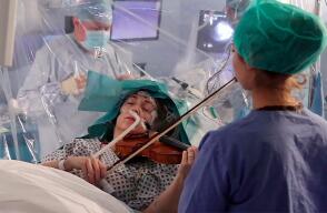 379883_violinista970.jpg