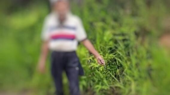 373431_Abuelo golpeador de mujeres en Ocamonte / Foto: suministrada