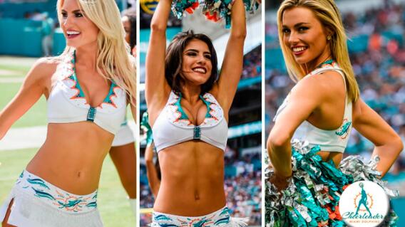 dolphinscheer.jpg