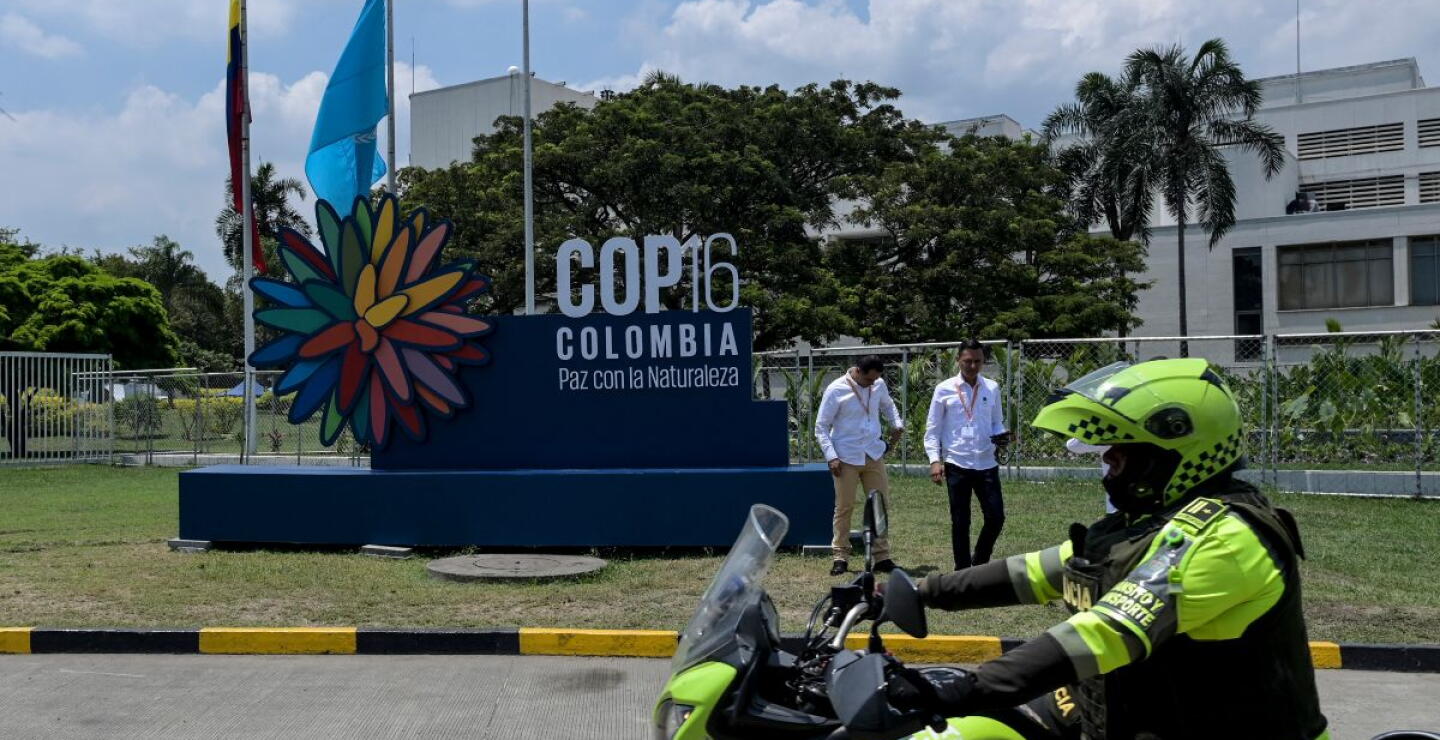 Colombia será sede de la COP16 de Biodiversidad del 21 de octubre al 1 de noviembre.