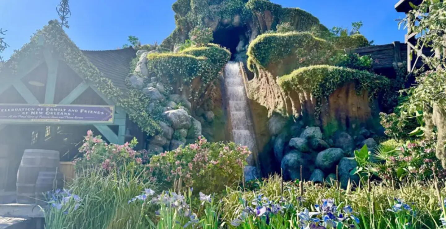 Susto en Disneyland: joven cayó casi 15 metros desde una atracción y resultó en el hospital
