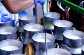 Familia de emprendedores tuvo una idea gracias a su única vaca, que daba 15 litros diarios de leche Familia de emprendedores tuvo una idea gracias a su única vaca, que daba 15 litros diarios de leche
