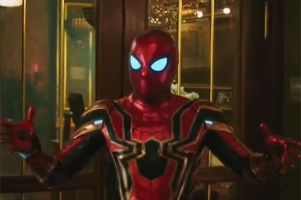 derechosspiderrman.jpg
