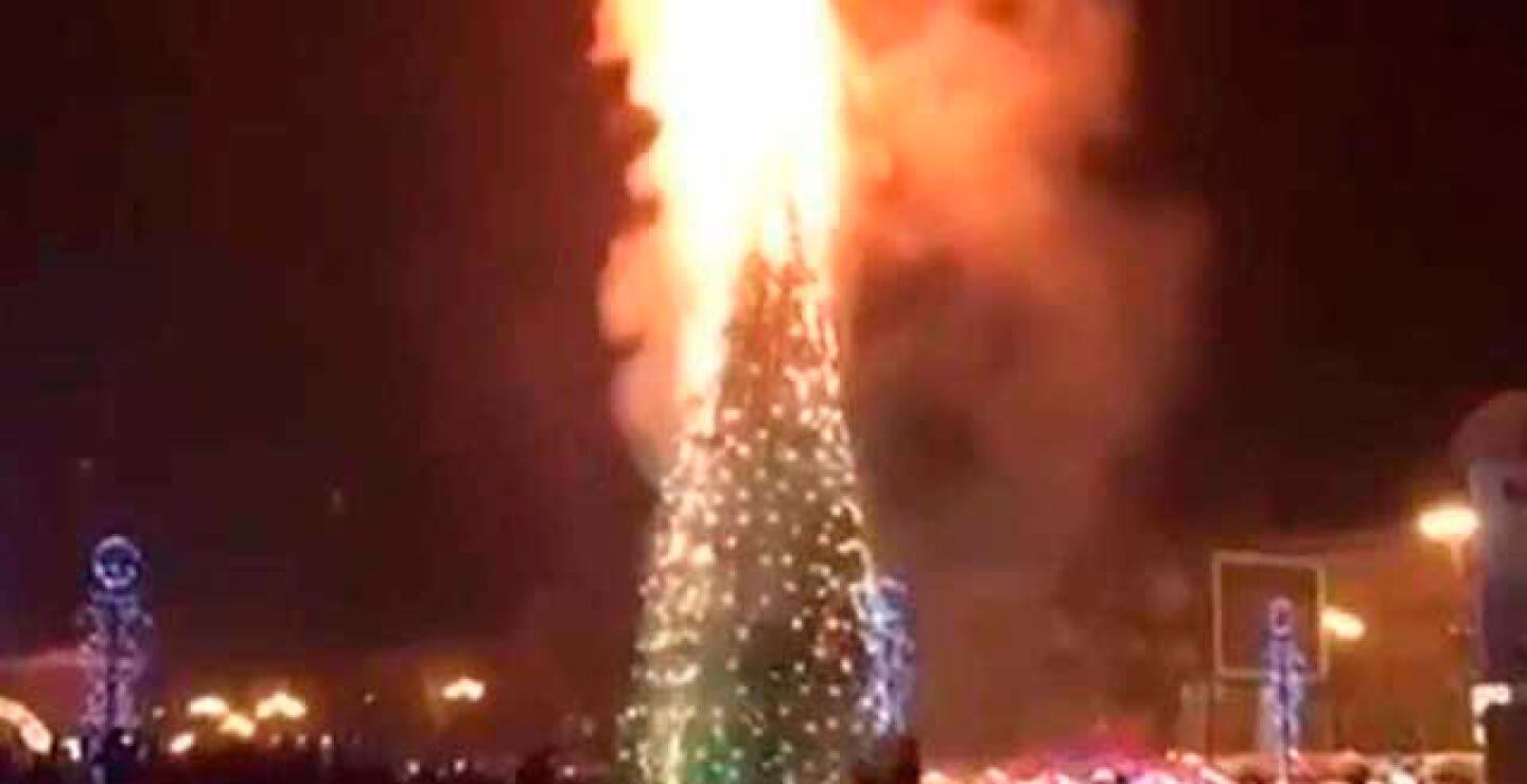 arbol.jpg