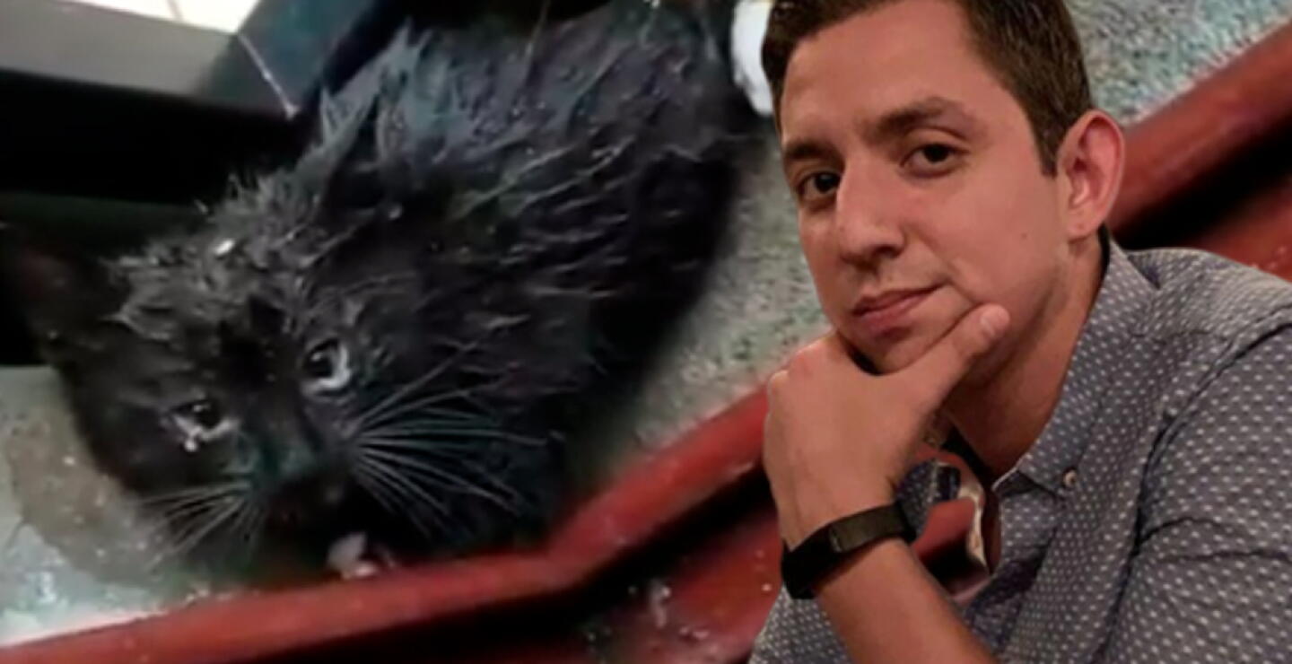 349518_Rescate de un gato bajo la lluvia // Foto: Facebook Omar Moreno