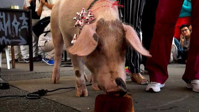 ‘Pachorrón’ celebra un año del primer trasplante de pulmón en el mundo   