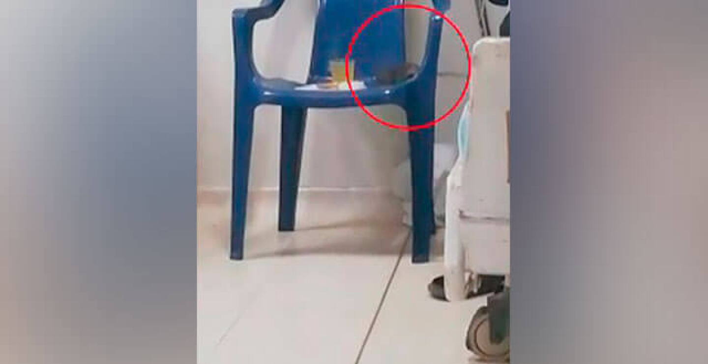 rata-hospital.jpg