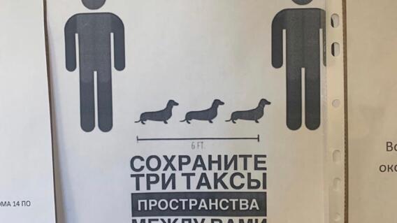 22086_Animales para campañas de distanciamiento social - Foro Twitter 22086_Animales para campañas de distanciamiento social - Foro Twitter
