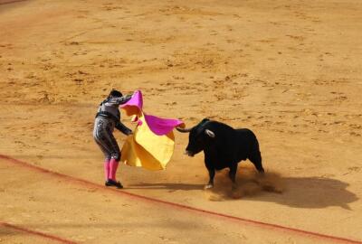 toros