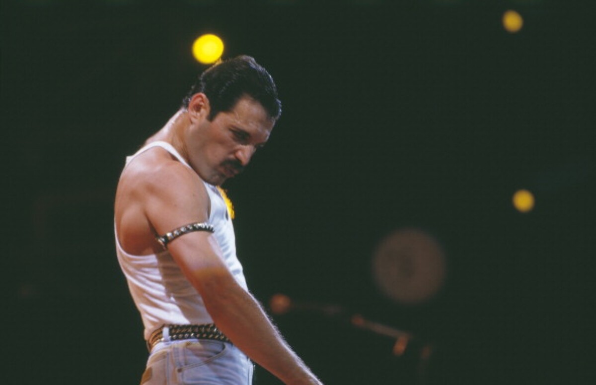 646661_freddie_mercury.jpg
