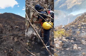 Incendio en Coromoro, Santander, afecta complejo de páramos Guantiva-La Rusia, varios frailejones quemados