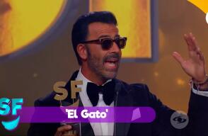 EL GATO.jpg