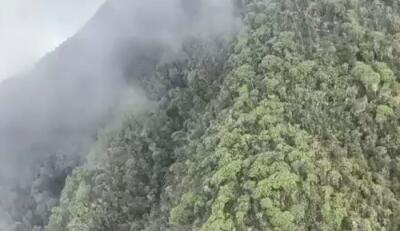 Lo que habría causado accidente de avioneta en Antioquia