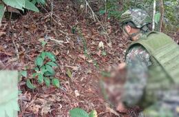Con ayuda de un canino especializado antiexplosivos, fueron ubicadas las minas en zona rural de Anorí