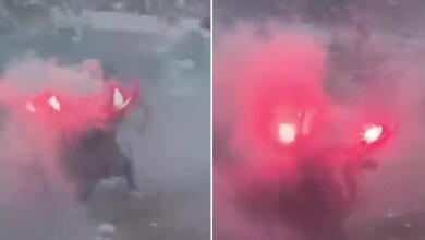 Toro sufrió maltrato durante corraleja en Sabanalarga: investigan a responsables