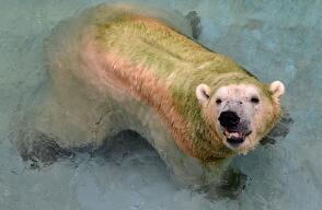 2510zoo.jpg