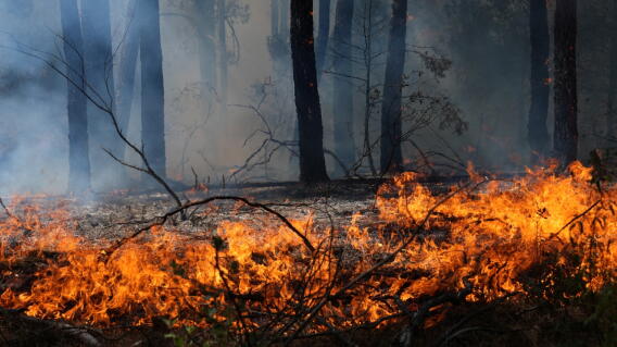 España evacúa a 73.000 personas por dos incendios forestales en el centro del país