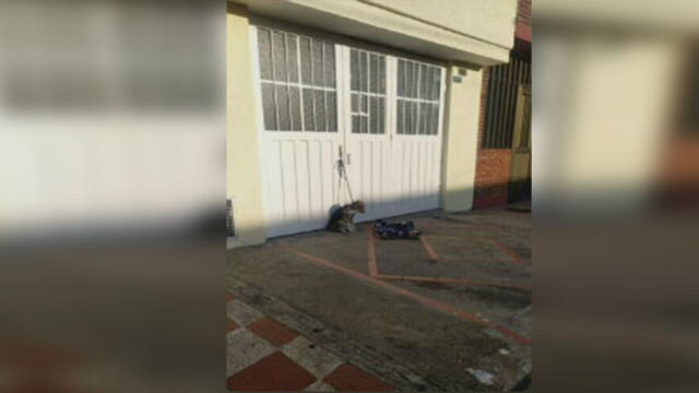 Perrita fue amarrada a una puerta: dejaron una carta explicando por qué la abandonaban 
