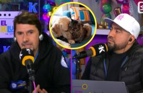 Pablo Acosta, médico veterinario, habló en El Klub sobre los riesgos asociados las mascotas en Navidad