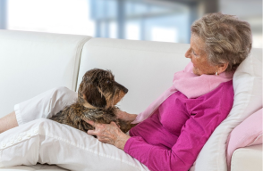 308510_BLU Radio-pets/Foto: AFP