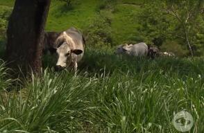 361593_241019_la_finca_de_hoy.jpg