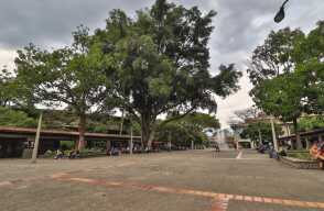 363453_U. de Antioquia. Foto: Cortesia Juan Pablo Hernández,