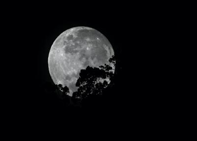 Luna / AFP