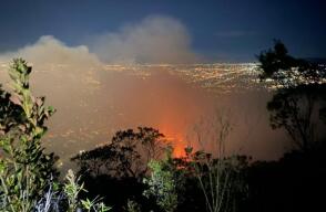 ¿Qué hacer durante un incendio forestal? Ojo a los siguientes consejos