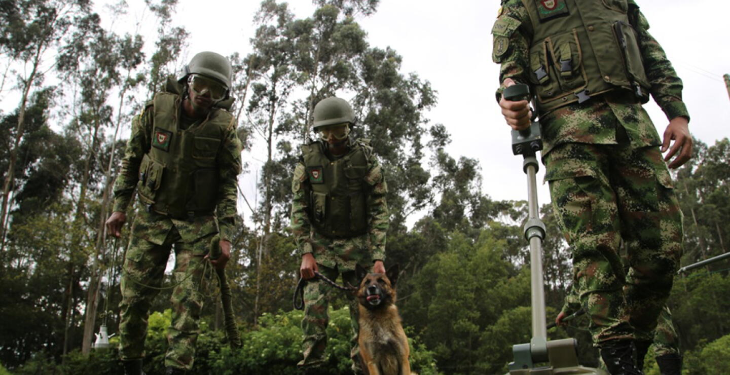 352729_Inició desminado asistido en Bojayá / Foto: Ejército