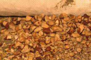 Millonario robo de nueces a un comerciante en el sur de Bogotá