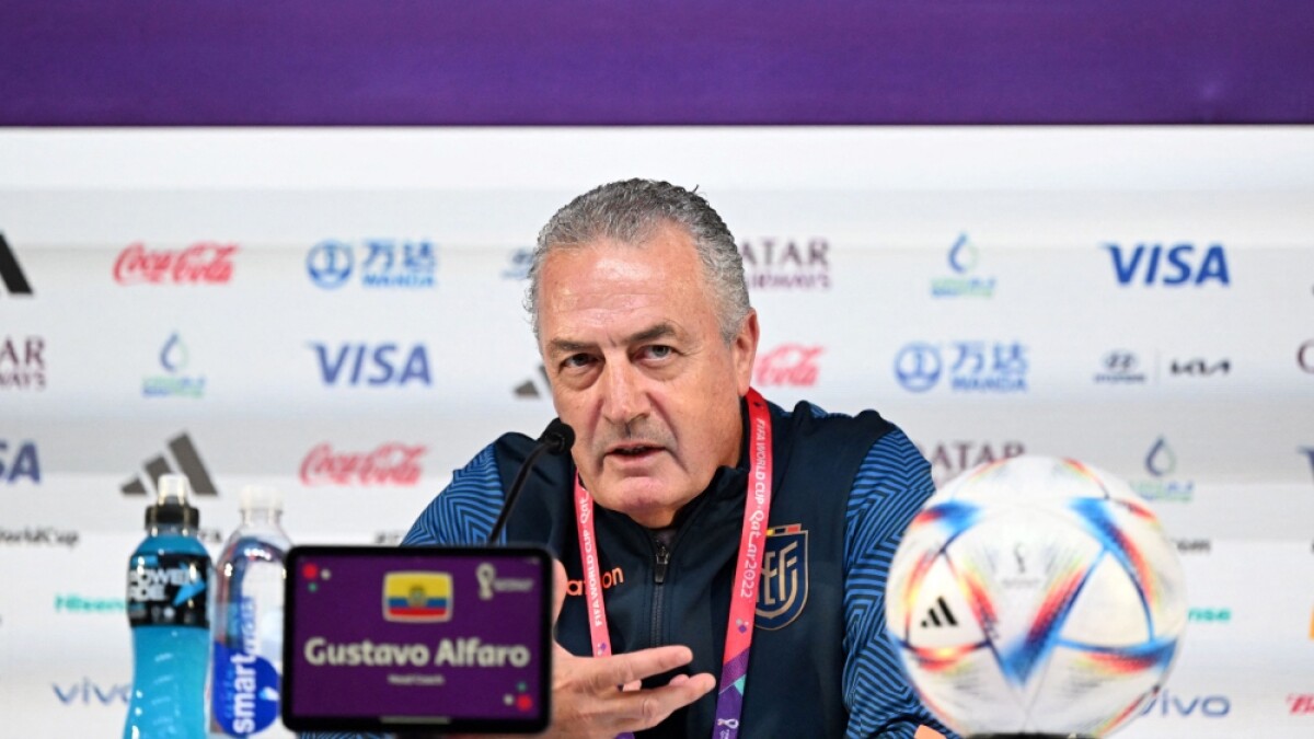 No somos superiores al rival": Alfaro tras empate de Ecuador con Países Bajos en el Mundial - BluRadio