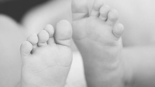 Perros le causaron la muerte a bebé de cinco meses que era cargada en brazos por su mamá