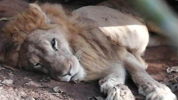 357104_BLU Radio// León Jupiter. Foto: Cortesía