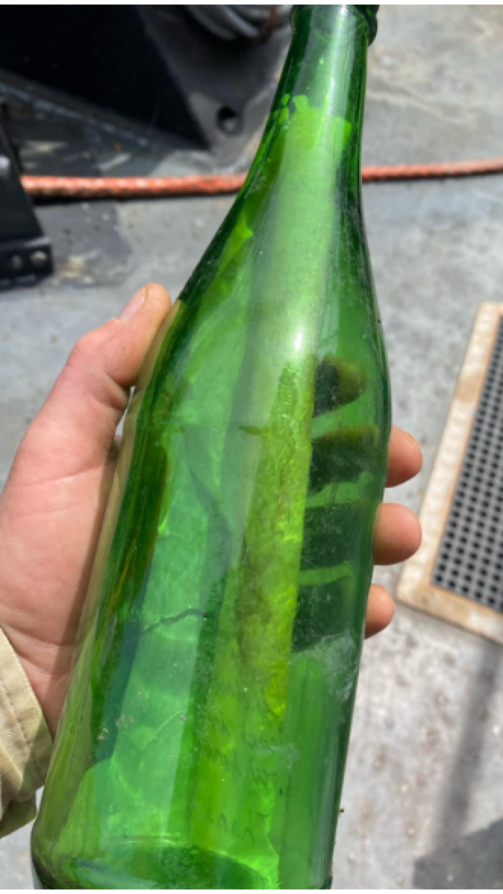 Hallan tierno mensaje dentro de una botella en un río: fue escrito por un niño hace 33 años