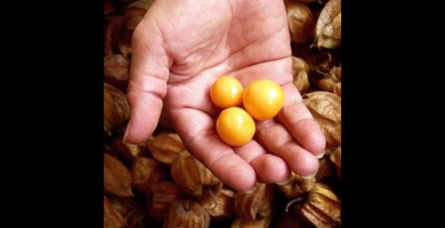 Por su parte, la ministra de Comercio, Industria y Turismo, Cecilia Álvarez-Correa, calificó estos acuerdos como una forma de "despejar" el camino a los exportadores del país y lograr enfocar el futuro de la agricultura colombiana en el extra