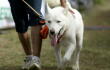 277780_BLU Radio. Mascota (referencia) // Foto: AFP
