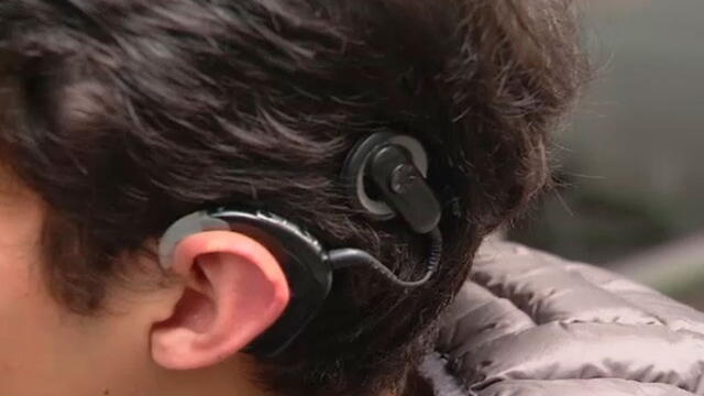  Pare oreja: no espere a perder la audición para cuidar sus oídos 