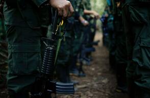 farc_0.jpg