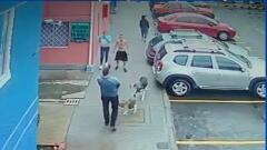 Intolerante agredió a un vecino y sus mascotas con un machete