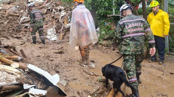 Tragedia en Dosquebradas: perro fue clave para ubicar el cuerpo de joven desaparecida   