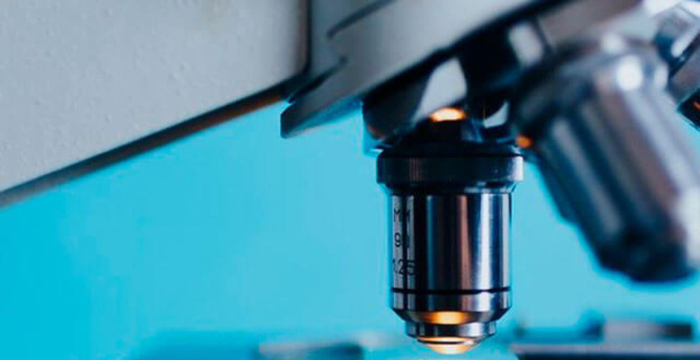 microscopio.jpg