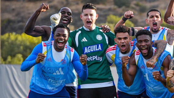 La Selección Colombia se enfrenta a Jordania en partido de preparacipon.